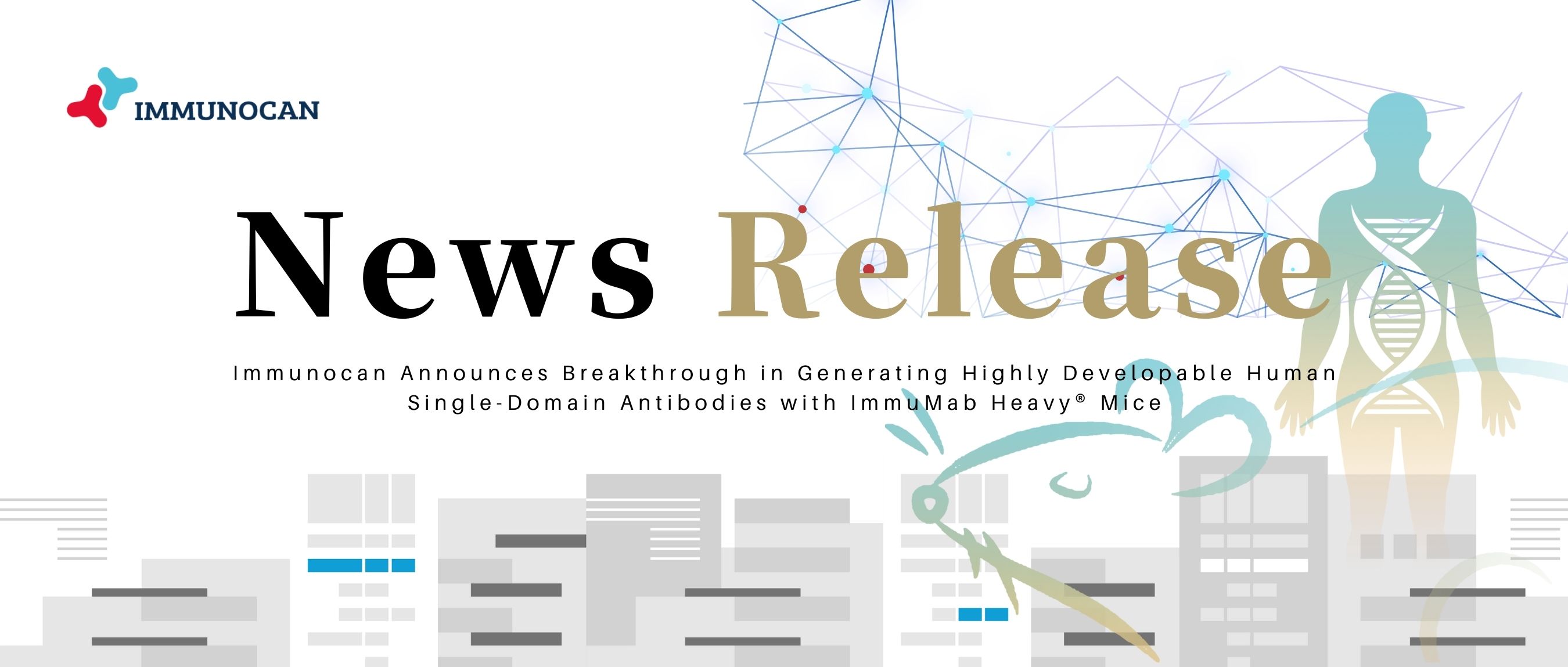 Immunocan Announces Breakthrough in Generating Highly Developable Human Single-Domain Antibodies with ImmuMab Heavy® Mice