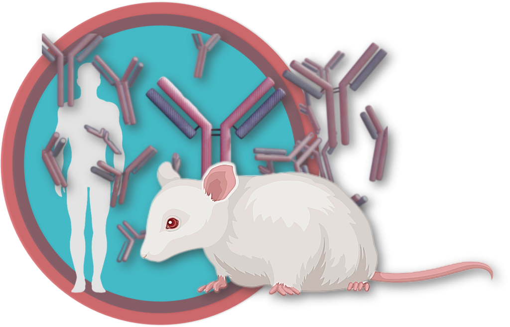 专访伊米诺康：全人源抗体小鼠平台官宣10余天，已签订2个IND项目